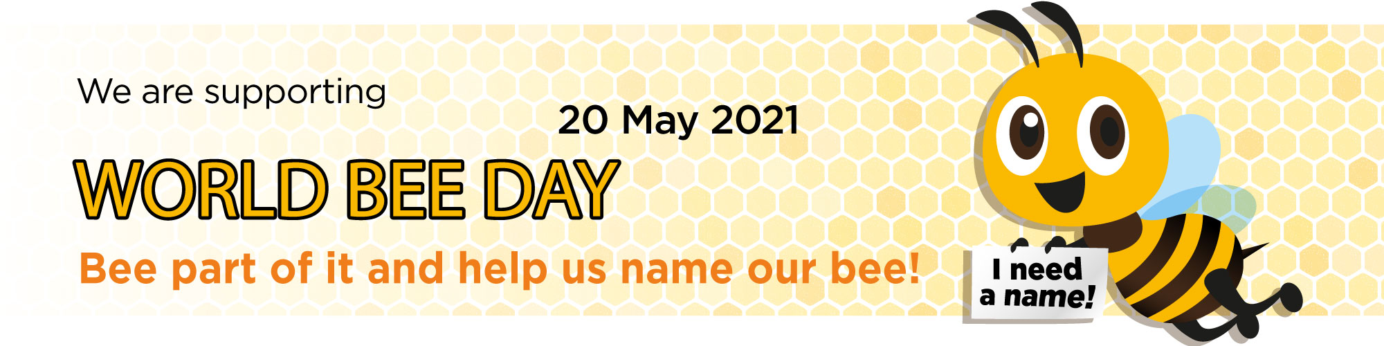 Name Our Bee Competition Terms Colourpoint